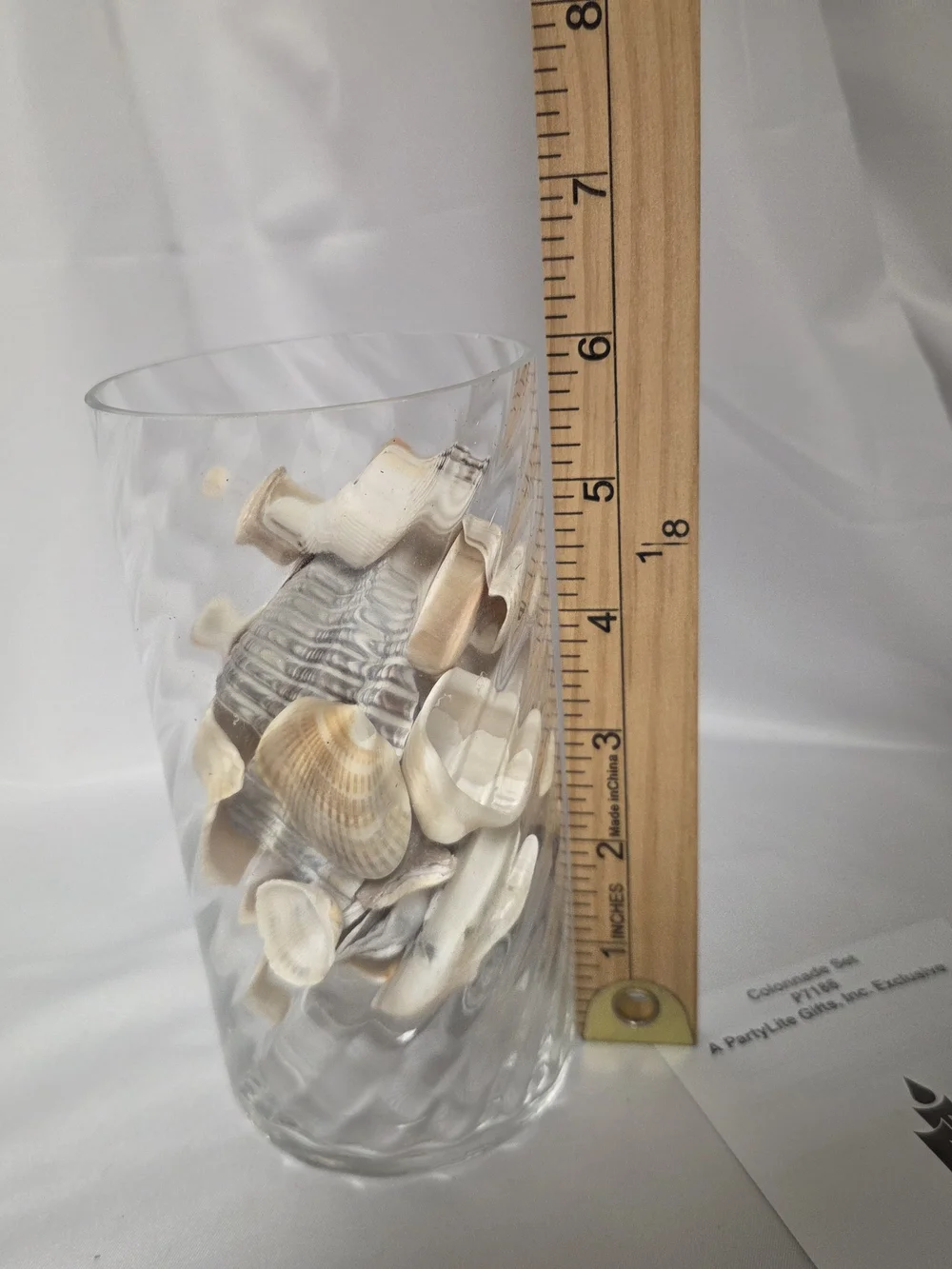 PartyLite Clear Glass Vase with Natural Shells P7186‎